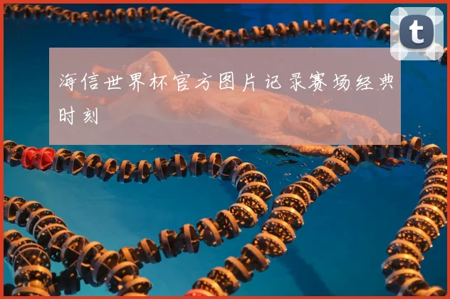 海信世界杯官方图片记录赛场经典时刻
