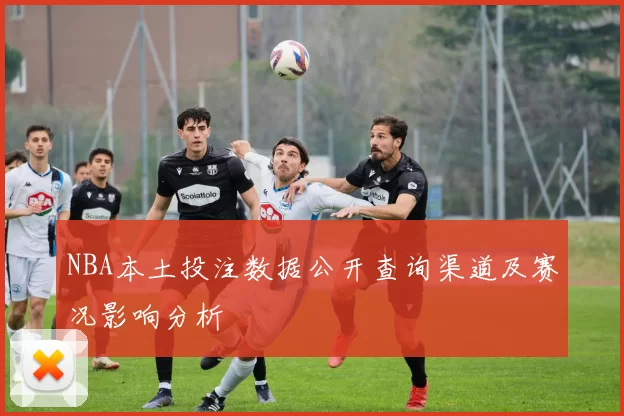 NBA本土投注数据公开查询渠道及赛况影响分析