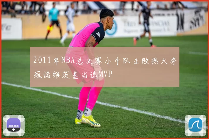 2011年NBA总决赛小牛队击败热火夺冠诺维茨基当选MVP