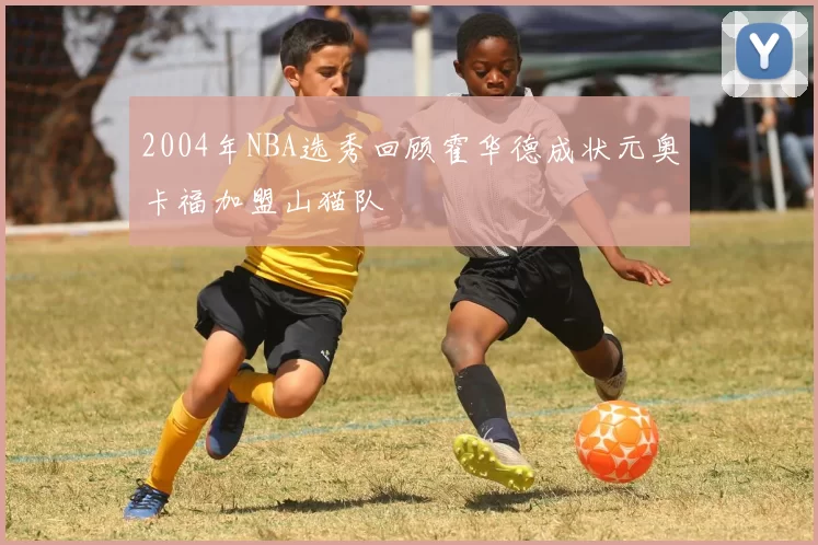 2004年NBA选秀回顾霍华德成状元奥卡福加盟山猫队
